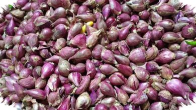 Harga Cabai dan Bawang Merah Melandai, Bawang Putih di Jakarta Justru Naik