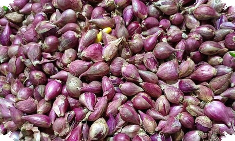 Harga Cabai dan Bawang Merah Melandai, Bawang Putih di Jakarta Justru Naik