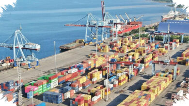 Pasar Eropa Makin Sulit Ditembus, Sawit Indonesia Hadapi Standar Keberlanjutan