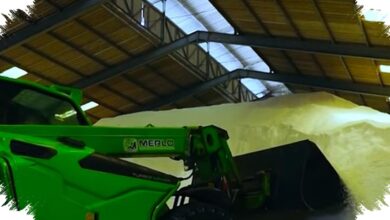 Data Center Microsoft Dilempari Bahan Kimia, Sengketa Energi Amsterdam Memanas