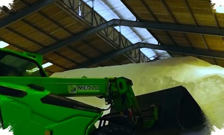Data Center Microsoft Dilempari Bahan Kimia, Sengketa Energi Amsterdam Memanas
