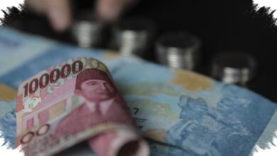 Satgas PASTI Hentikan PT EVI, Investasi Ekonomi Hijau Diduga Tak Berizin