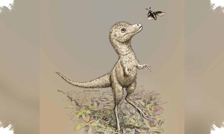 Bayi T. Rex Diduga Sudah Memburu Mangsa Sejak Menetas, Bukan Menunggu di Sarang
