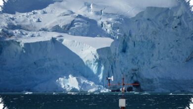 Air Lelehan Menopang 97 Persen Berat Es, Gletser Antartika Melesat ke Laut