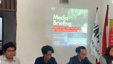 WALHI Minta Pemulihan Dampak TPL Diperluas, Banjir hingga Habitat Orang Utan Disorot