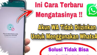 Akun WhatsApp Diblokir? Jangan Panik, Tombol Minta Tinjauan Bisa Jadi Jalan Kembali