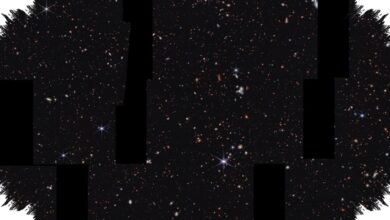 JWST Memotret Siklus yang Membuat Lubang Hitam Raksasa Tumbuh Lagi dan Lagi