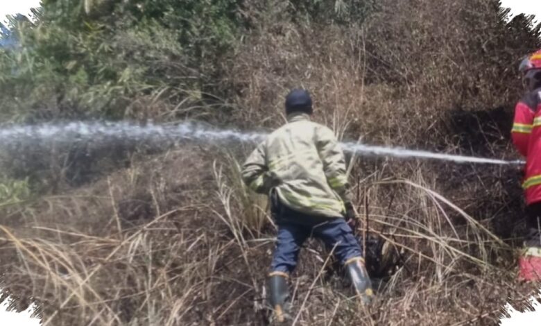 Kebun Bambu 500 Meter Persegi Hangus di Lembang, Api Dekat Permukiman Warga
