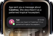 Versi iOS Bisa Menentukan Dukungan iPhone, Cek Langsung dari Pengaturan
