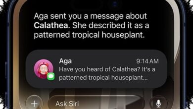 Versi iOS Bisa Menentukan Dukungan iPhone, Cek Langsung dari Pengaturan