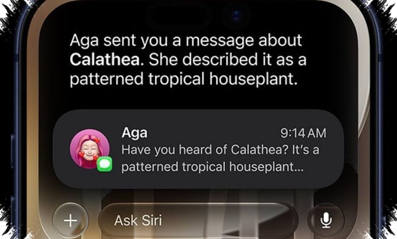 Versi iOS Bisa Menentukan Dukungan iPhone, Cek Langsung dari Pengaturan