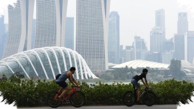 Indonesia Jadi Pasar Kedua Terbesar Singapura, Tarif Terbang Kian Kompetitif