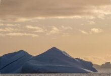 Saat Dunia Dilanda Panas Ekstrem, Antartika Mencatat Suhu -84,1°C