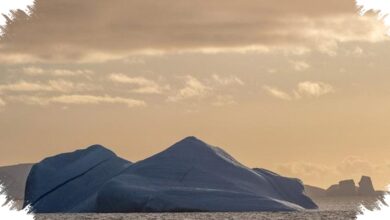 Saat Dunia Dilanda Panas Ekstrem, Antartika Mencatat Suhu -84,1°C