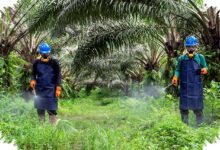 Fondasi K3 Industri Sawit Sudah Kuat, Namun Budaya Keselamatan Tetap Harus Dijaga