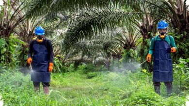 Fondasi K3 Industri Sawit Sudah Kuat, Namun Budaya Keselamatan Tetap Harus Dijaga