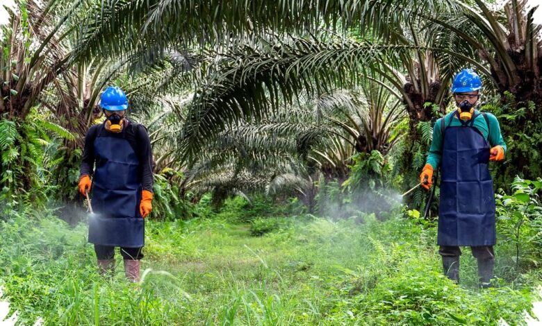 Fondasi K3 Industri Sawit Sudah Kuat, Namun Budaya Keselamatan Tetap Harus Dijaga