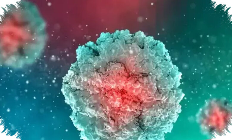 3 Kematian Hantavirus di Venezuela Picu Karantina, Dua Kasus Lain Diselidiki