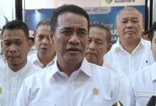 Target Dua Tahun Swasembada Gula, 100.000 Hektare Tebu Tua Diremajakan Tiap Tahun