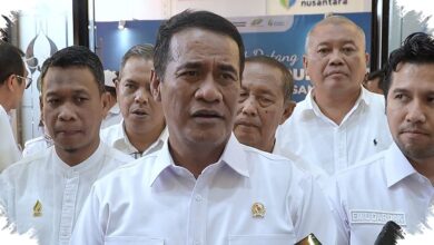 Target Dua Tahun Swasembada Gula, 100.000 Hektare Tebu Tua Diremajakan Tiap Tahun