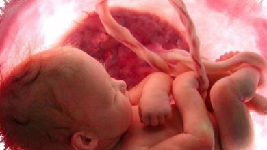 Jantung Janin Mulai Terbentuk di Trimester Pertama, Risiko Kelainan Tak Boleh Diabaikan