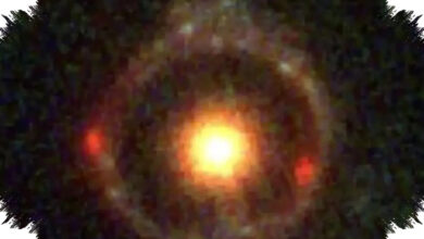 JWST Menangkap Cincin Einstein Terjauh, Galaksi Purba Ini Terlalu Padat