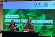Lada Indonesia Dibidik ke Pasar Global, Petani Didorong Naik Kelas lewat Produk Olahan