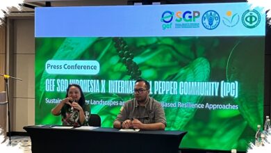 Lada Indonesia Dibidik ke Pasar Global, Petani Didorong Naik Kelas lewat Produk Olahan